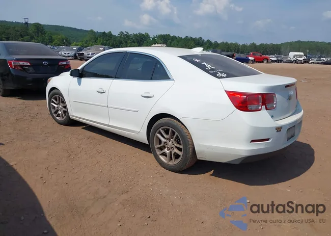 1G11C5SA6GF123395: 42593064