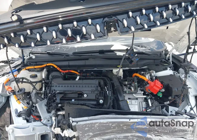 5LMPJ8K4XSJ926213: 42593277