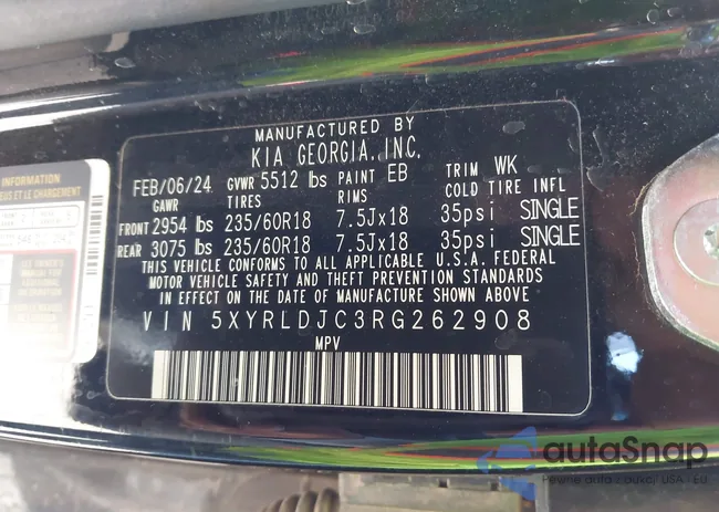 5XYRLDJC3RG262908: 42593369