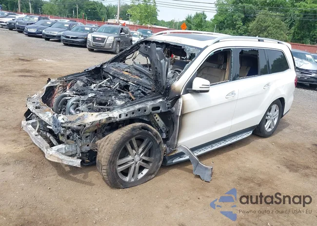 4JGDF7CE1DA225751: 42594488