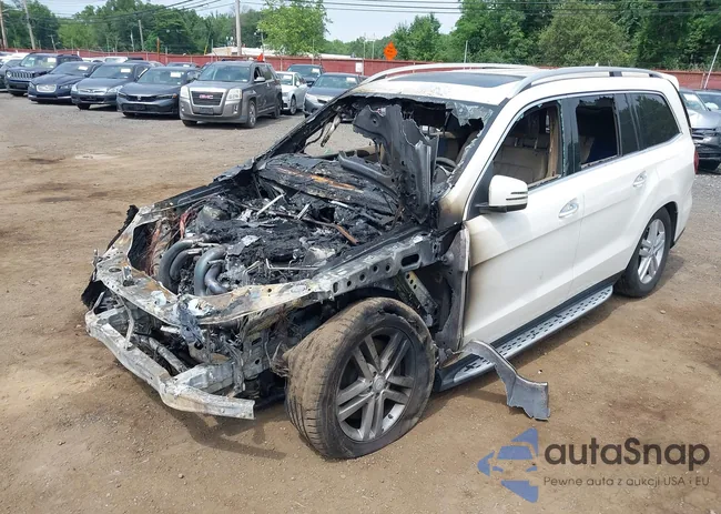 4JGDF7CE1DA225751: 42594488