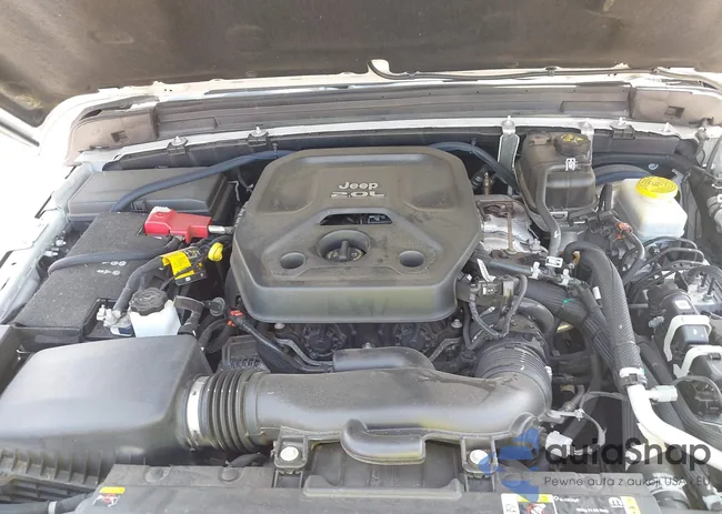 1C4HJXFN0MW648257: 42594545