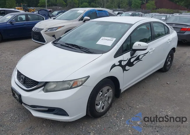 19XFB2F59FE020962: 42594855