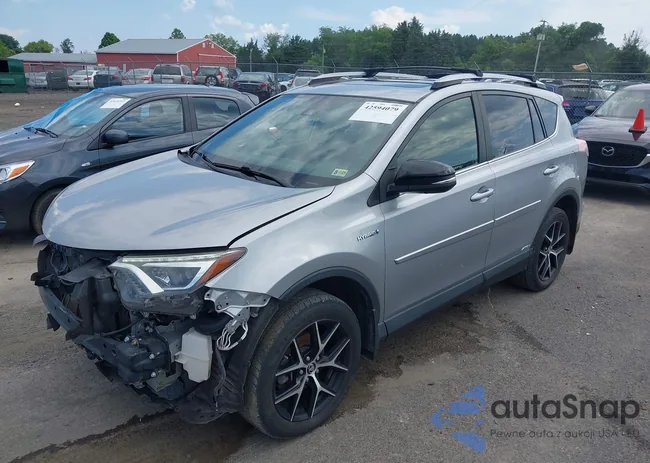 JTMJJREV7JD161319: 42594079