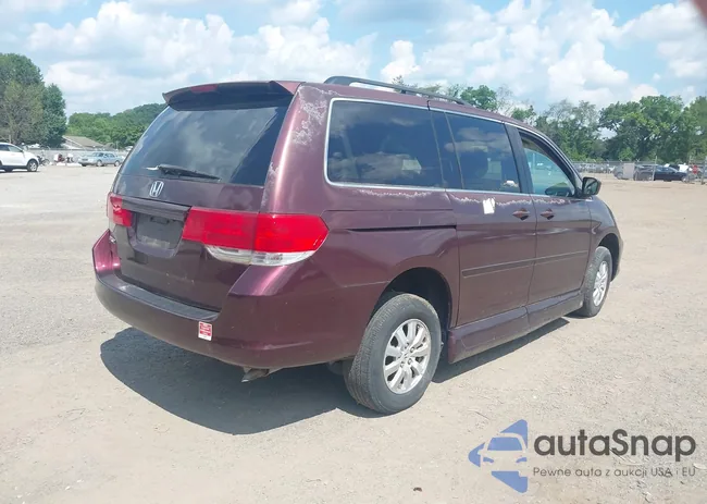 5FNRL38638B413763: 42596925