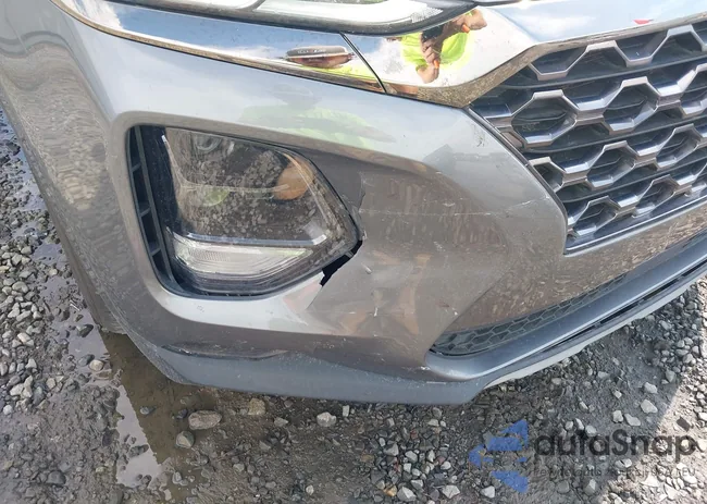 5NMS53AD7LH161981: 42596271