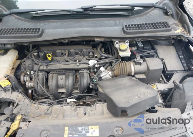 1FMCU0F73GUB93491: 42597941