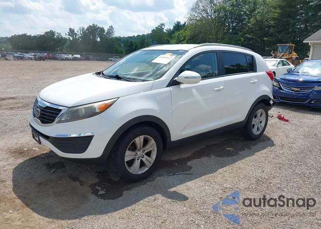 KNDPB3A20B7119655: 42599017