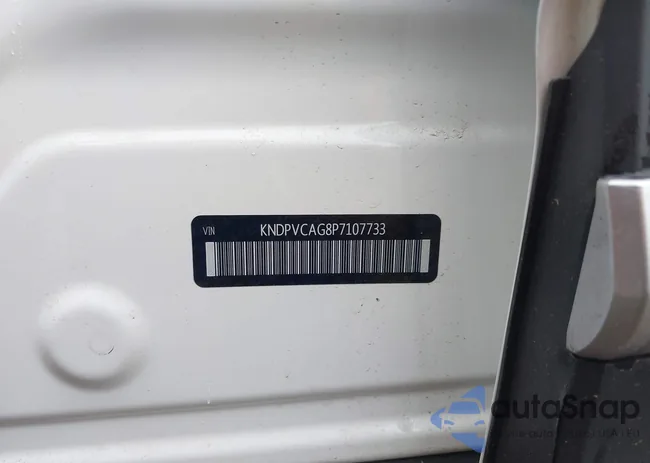 KNDPVCAG8P7107733: 42598261