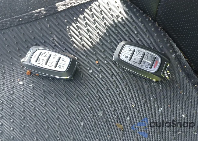 2C4RC1S71PR569860: 42600542