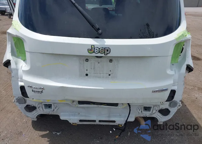 ZACCJBBT2FPB47517: 42600803