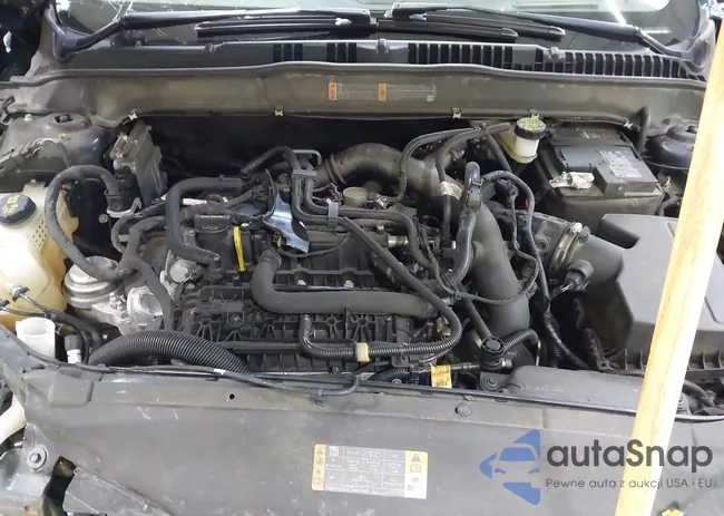 3FA6P0HD9LR187066: 42600976