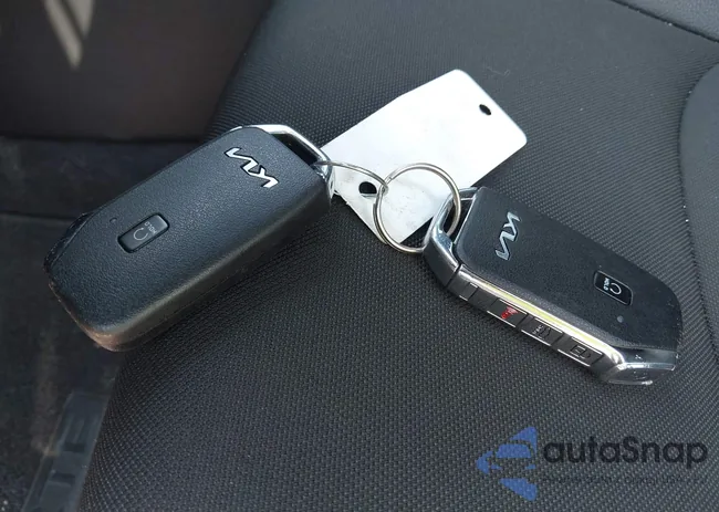 3KPF54AD2PE667819: 42600201