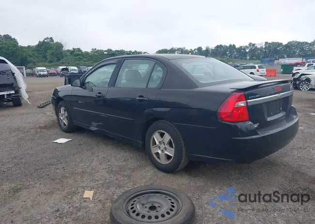 1G1ZU54875F251507: 42600271