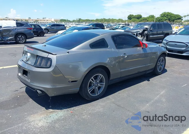 1ZVBP8AM6B5130419: 42600321