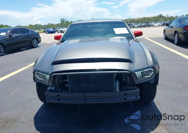 1ZVBP8AM6B5130419: 42600321