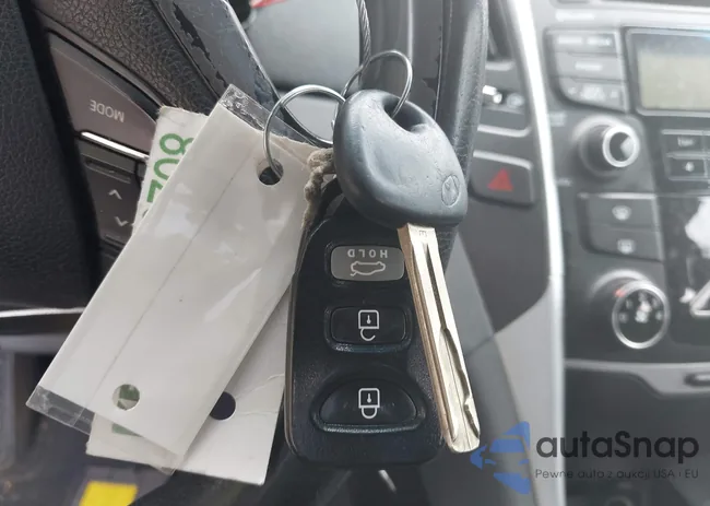 5NPEB4AC1DH704376: 42600331