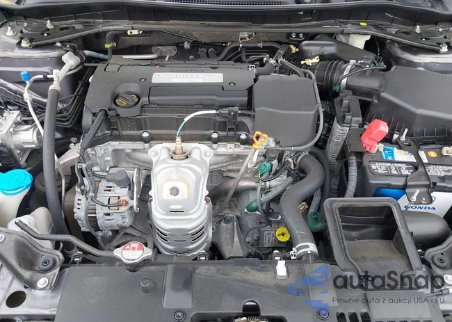 1HGCR2F82EA101250: 42600335