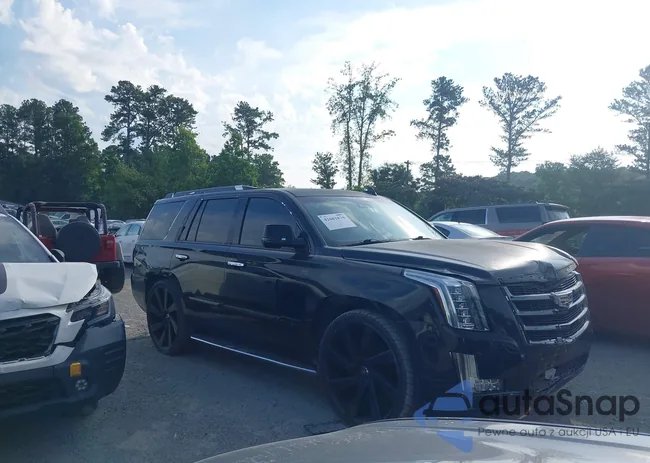 1GYS3MKJ1FR623638: 42601879