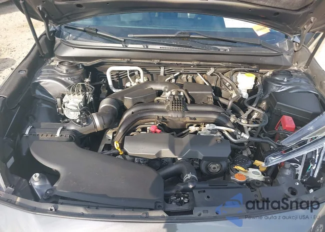 4S4BSANC0K3215824: 42601946