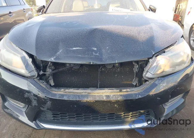 1HGCR2F83DA096977: 42601952