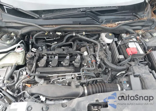 SHHFK7H60MU404976: 42601202