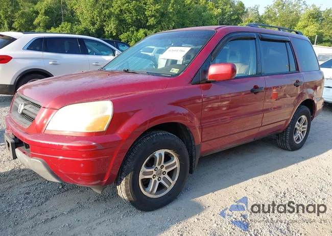 5FNYF18554B005774: 42601386