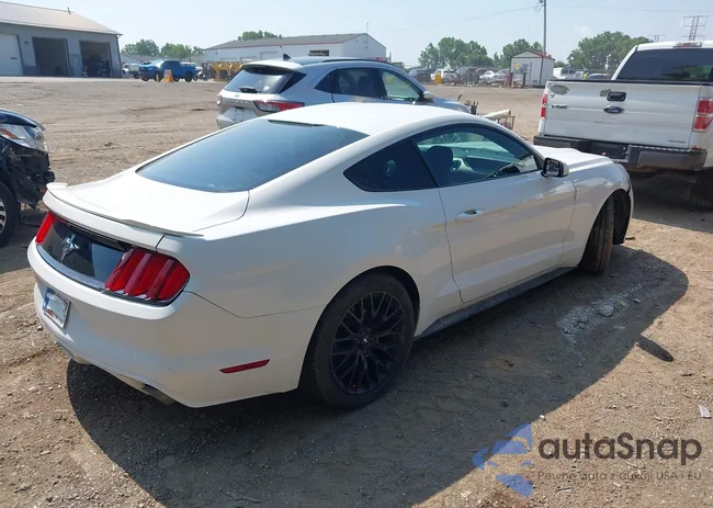 1FA6P8AM9G5289677: 42602364