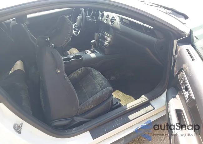 1FA6P8AM9G5289677: 42602364