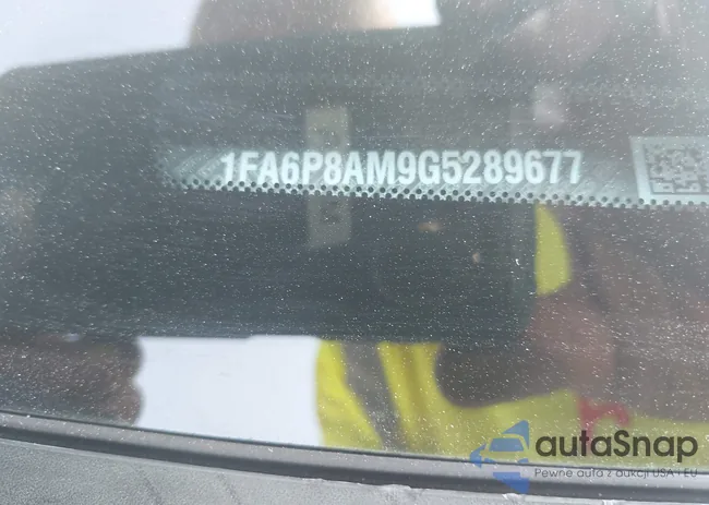 1FA6P8AM9G5289677: 42602364