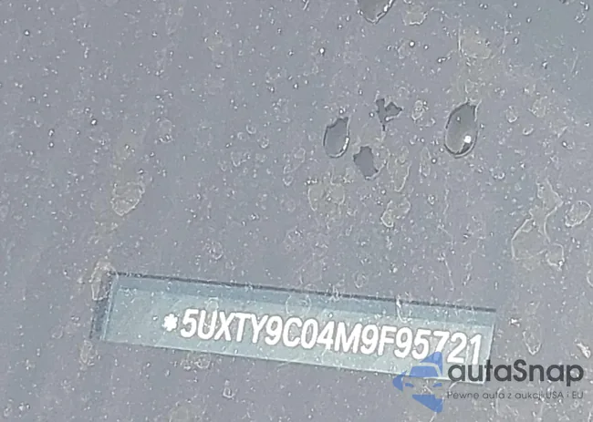 5UXTY9C04M9F95721: 42603121