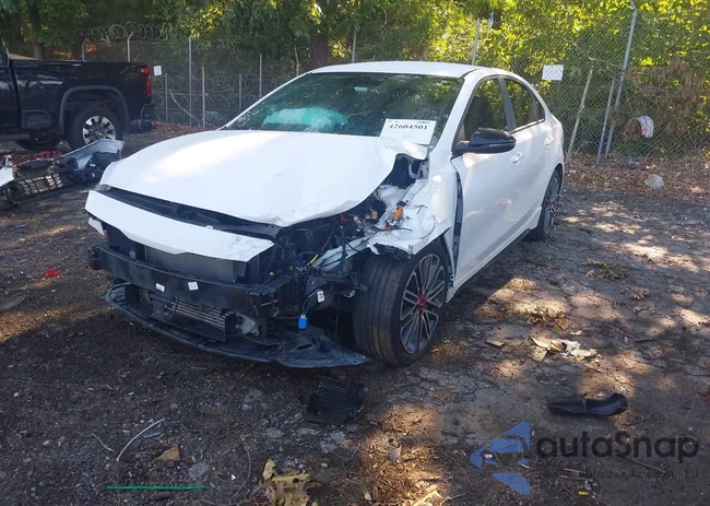 3KPF44AC3PE629087: 42604501