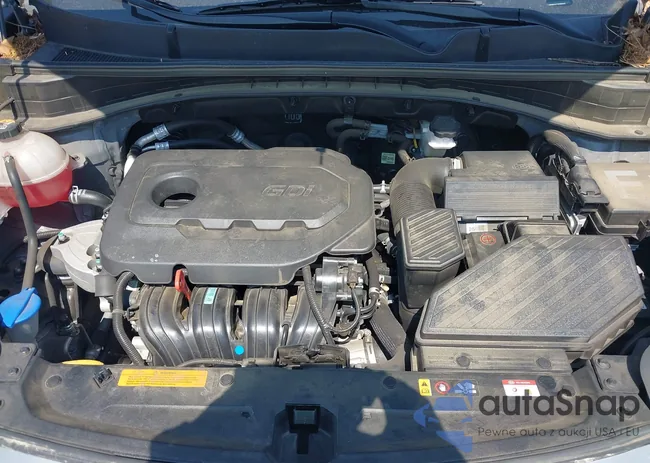 KNDPM3ACXN7995303: 42604914