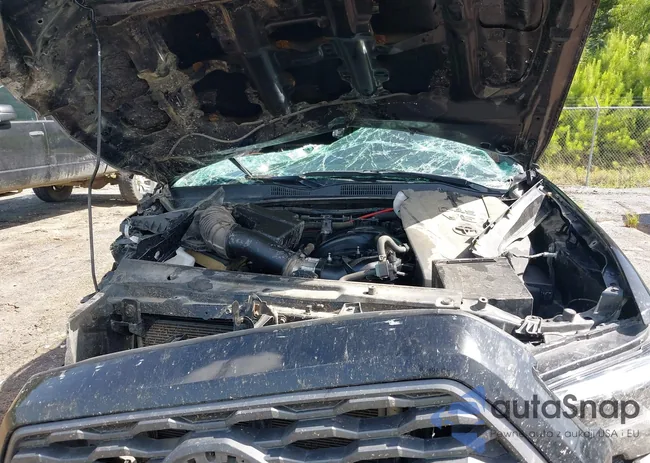 3TMCZ5AN8PM600119: 42605659