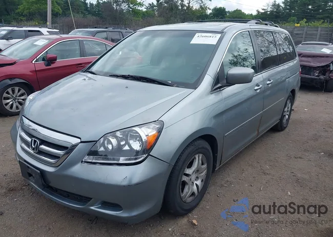 5FNRL38776B050308: 42606815