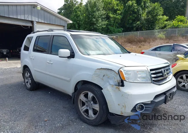 5FNYF4H61FB067461: 42606844