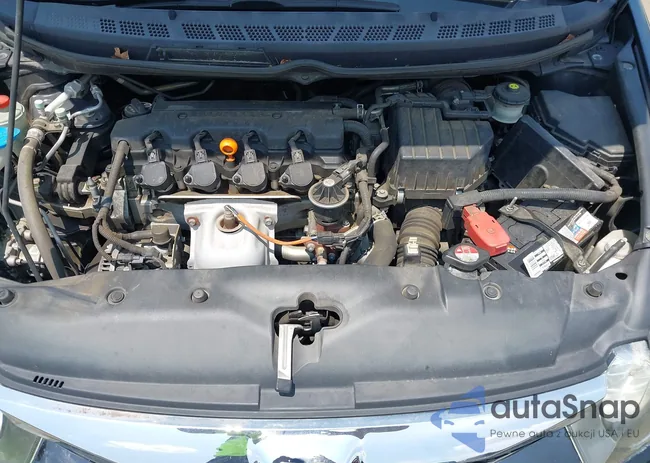 19XFA1F84BE025388: 42607824