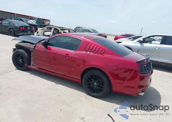 1ZVBP8AM0E5278005: 42607221