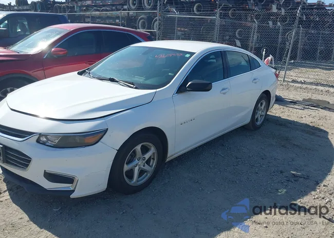 1G1ZB5ST8HF106767: 42608532