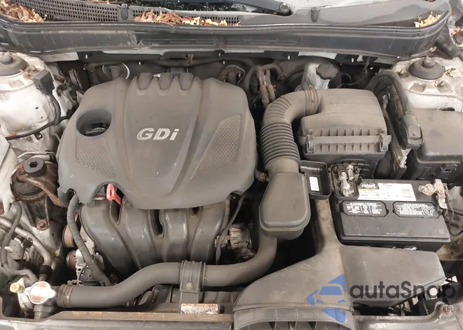 5NPEC4AC9BH117515: 42608649