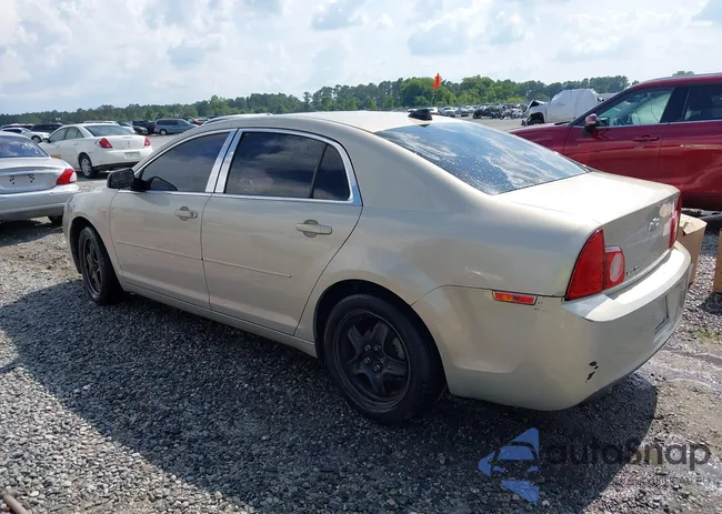 1G1ZB5E06CF271677: 42610808