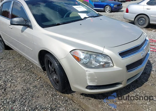 1G1ZB5E06CF271677: 42610808