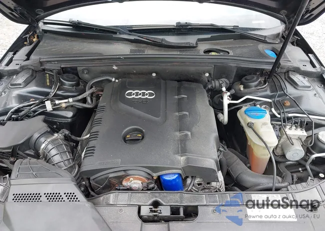 WAUFFAFL1BN004206: 42610078