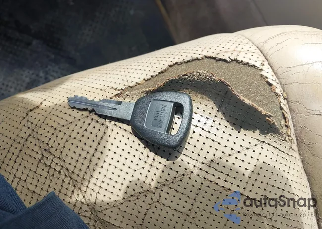 19UUA66275A036829: 42611524