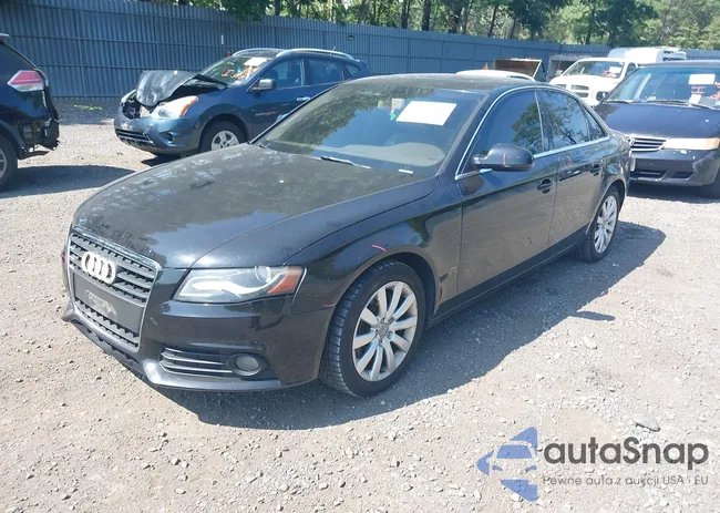 WAUFFAFL4BN023090: 42611683