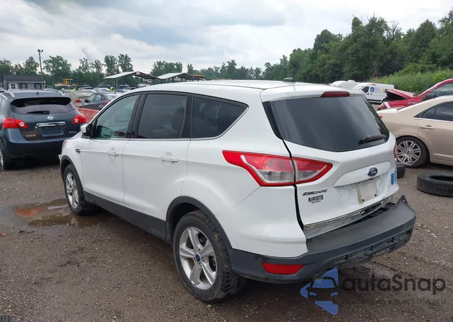 1FMCU9GX4EUD88239: 42611714