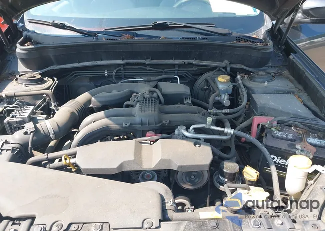 JF2SHBDC7CH455517: 42611928