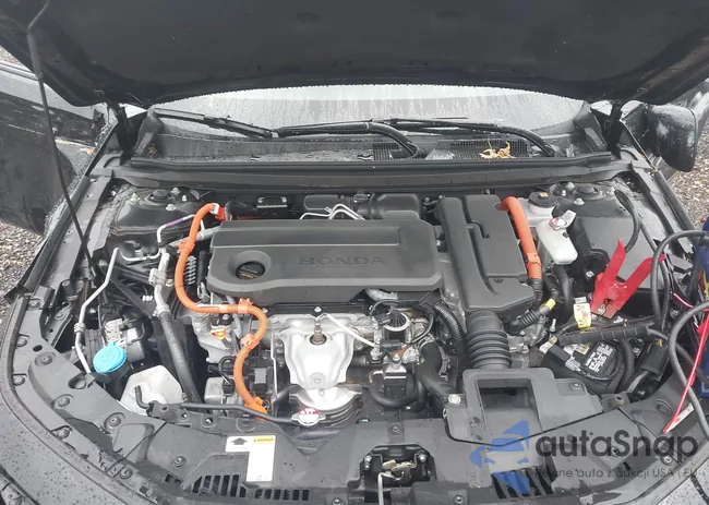 1HGCY2F78SA007783: 42611942