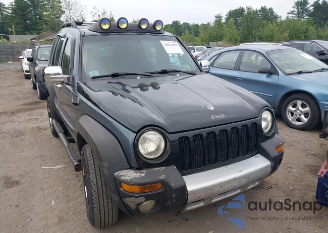 1J4GL48K52W325580: 42611279