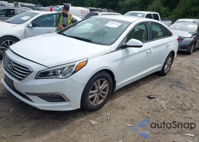 5NPE24AF8FH246476: 42612148